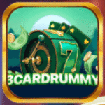 3Card Rummy